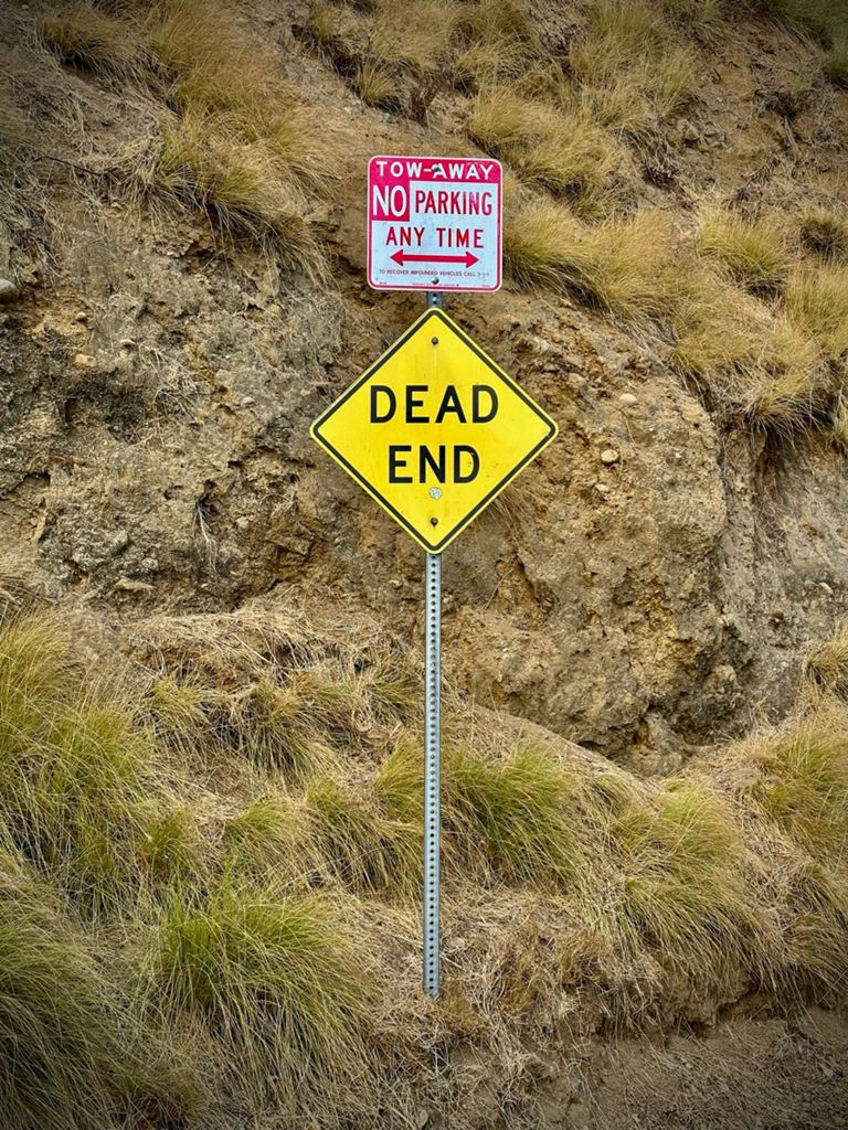 NBB run - Lake Hollywood photo 17