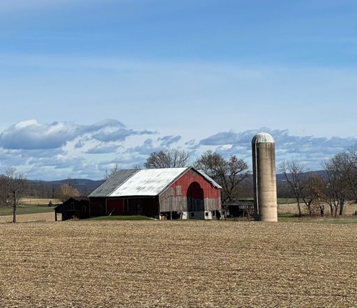 Nice color in a harvested field.
