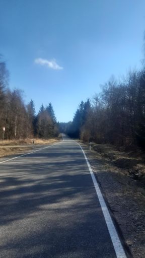 Ellerner Anstieg in den Soonwald.