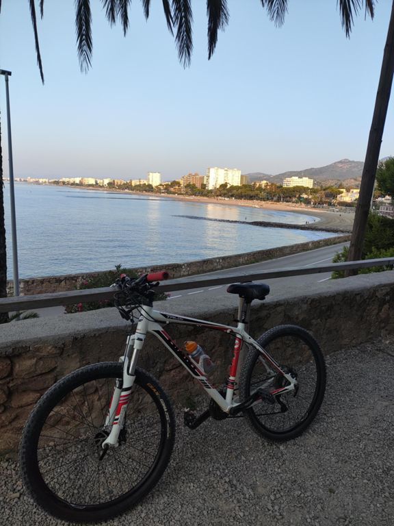 Paseo Dominguero