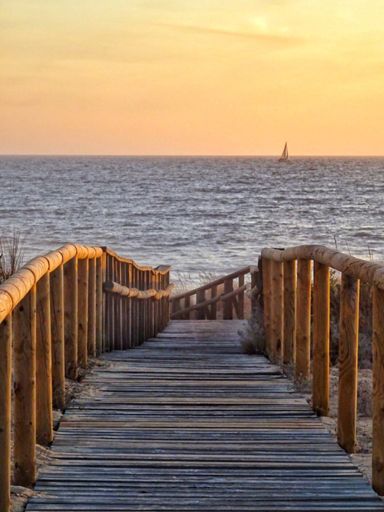 Paraíso en los enebrales.