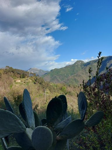 Panorama da Minazzana