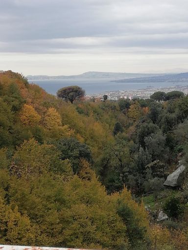 Veduta del golfo da Castello