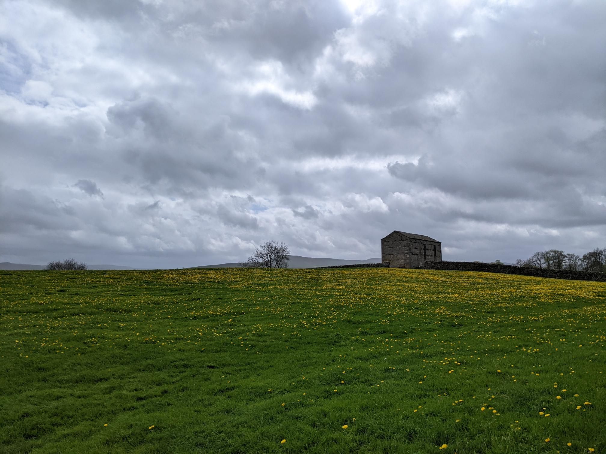 Herriot Way day 1 and 2 photo 11