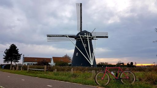 Typisch Nederlands 😊