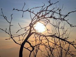 Sortie VTT en soirée