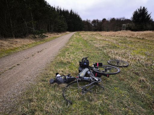 Nr. 4 von insgesamt 6 Platten. Andere hatten noch deutlich mehr Pech.