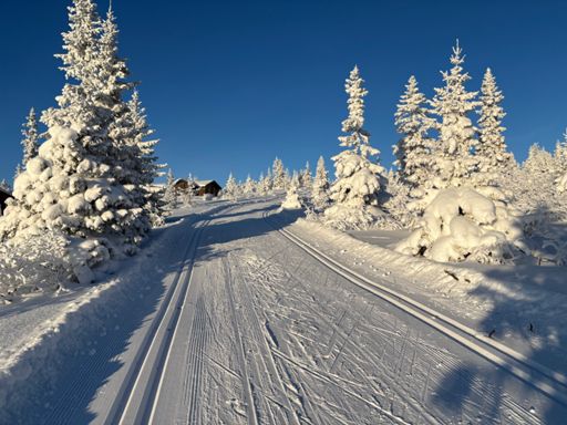 Svaenlia. Ser ut som en drømmedag, men skinnet bedrar…😉🥶