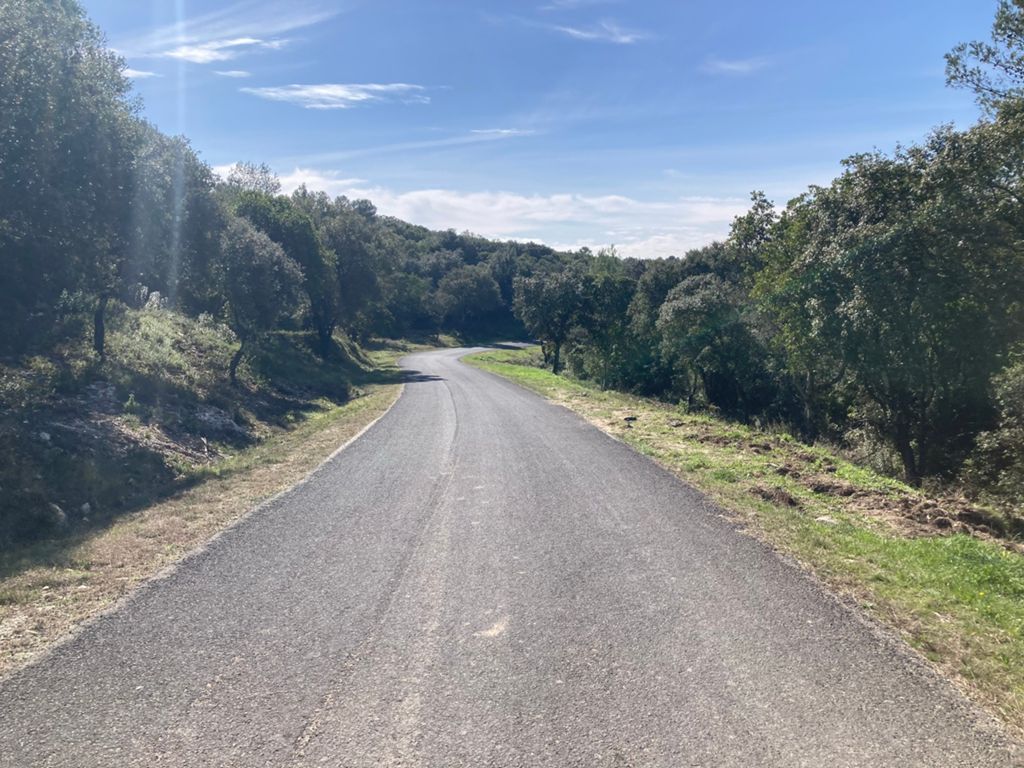 Saint Mamert Combas à l'envers- nov 2023, photo 23