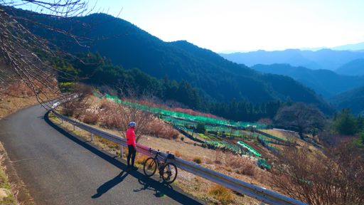 Taking in the views - Greenline