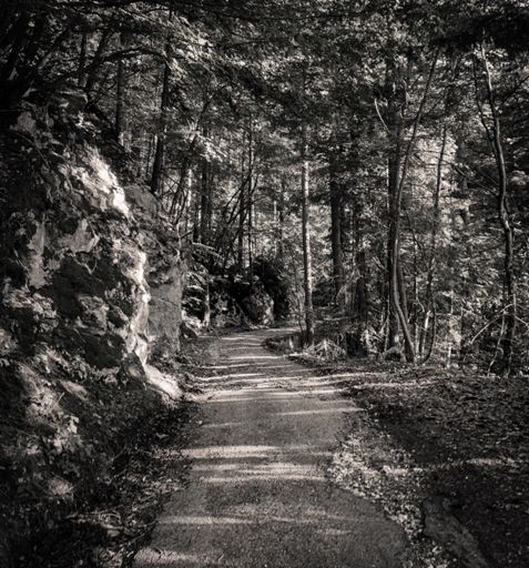 Ge ziet dat de Route Forestière de Girieu oud is, want ze is nog in zwart-wit.