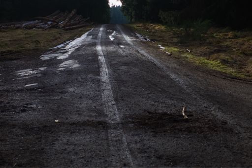 Ik weet niet of het hout hakt.