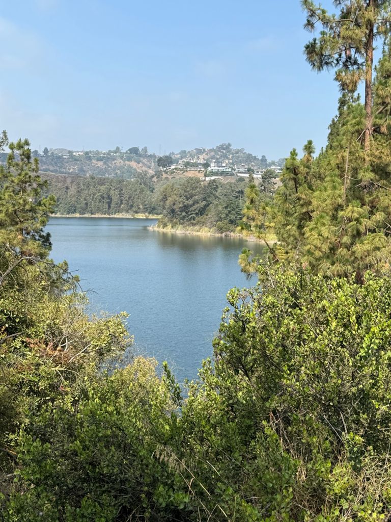 NBB run - Lake Hollywood photo 139