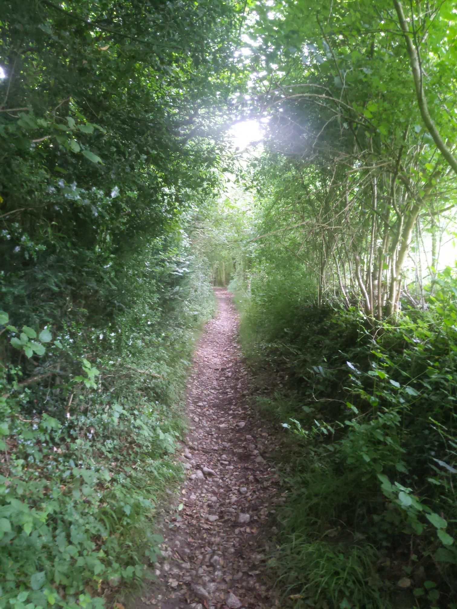 Skipton to Lands End - Day 3 photo 6