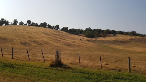 Kinglake on a sunny day, not today which was drizzle 🙁