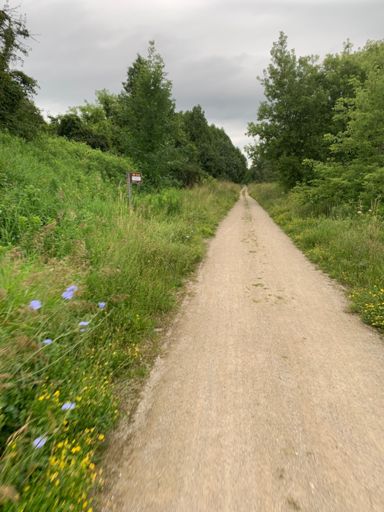 Elora Cataract Trail