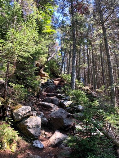 The rocky Mad Gulf Trail