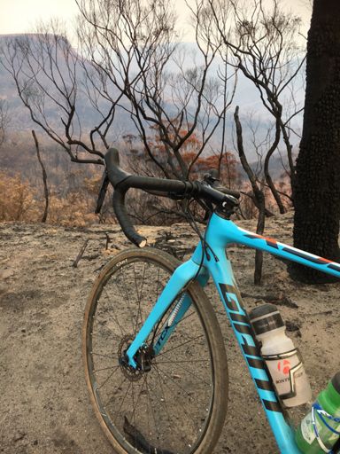 Very little life left. Fire has ravaged the valley