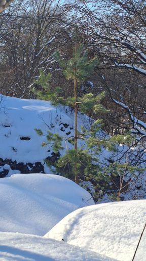 Чортова скеля 