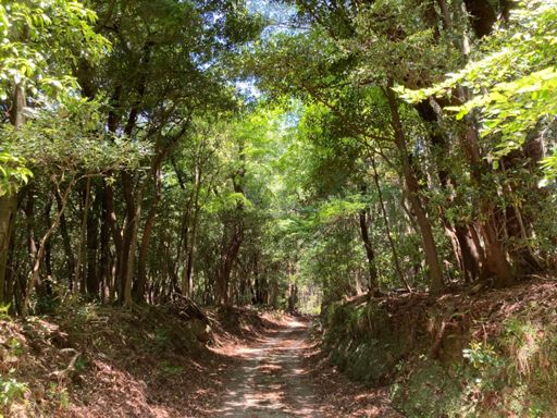 天城ハイランド裏(片瀬)の細道