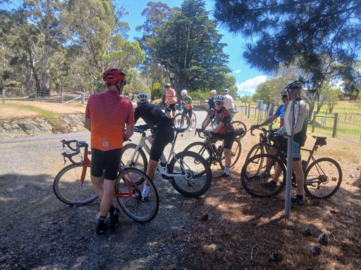 The flock takes some shade atop Grasstree Hill.