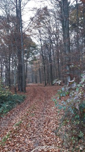 Oberhalb von Alterkülz. 