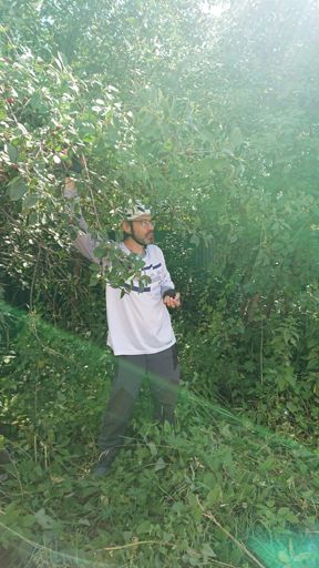 А вишня в садах Новосельцево - жри от пуза!
Я на вишенке сижу - не могу накушаться
Дядька Сталин говорил, что надо маму слушаться