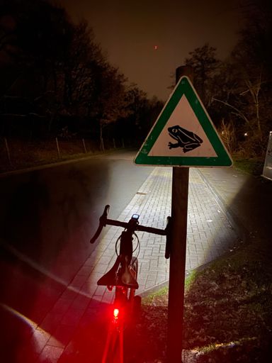 eine hat es nicht geschafft😔