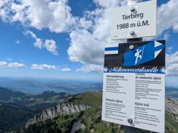 Chöpfenberg Tierberg