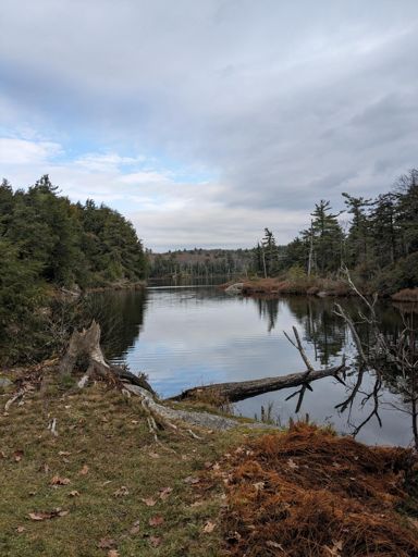 scenic stop on way back down Everett 