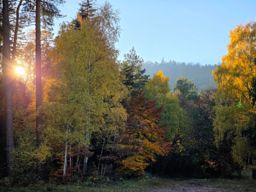 Dans les coins de Wuestenberg