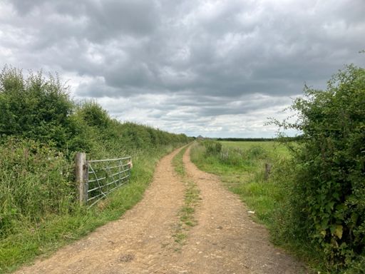 Had to cycle 250 yards down this bumpy track for tile #1
