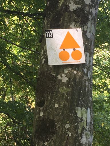 En route pour une belle montée rocailleuse 💪🏻