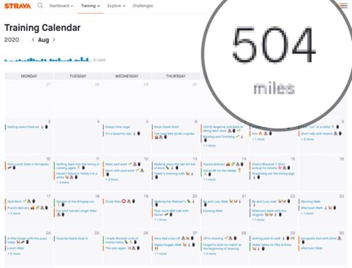 First time hitting 500 in a month. I need to get 500 the next 4 months in a row to break 5,000 miles total for the year.
