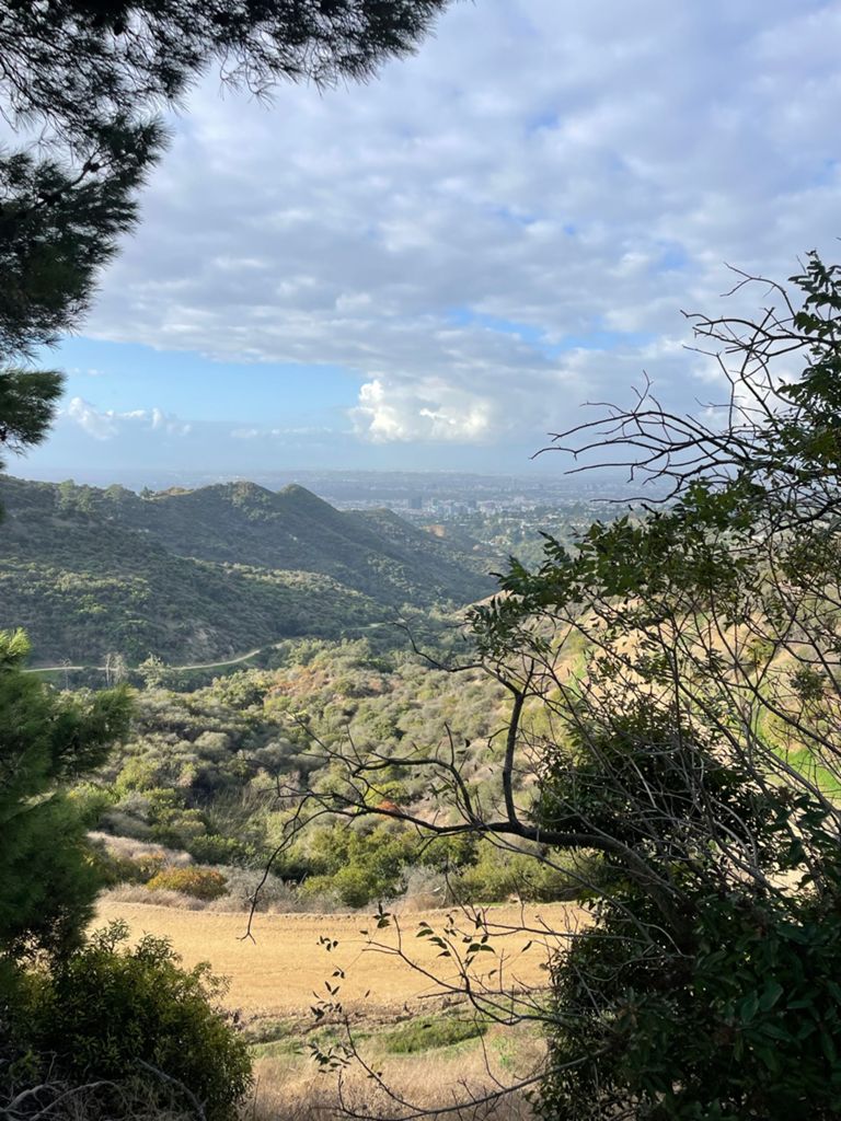 NBB run - Lake Hollywood photo 199