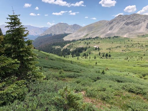 This could be the theoretical start of a new huge descent down Wildcat Gulch. The terrain map looks favorable.