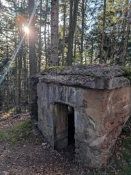 Pierre-piquée Derzognier