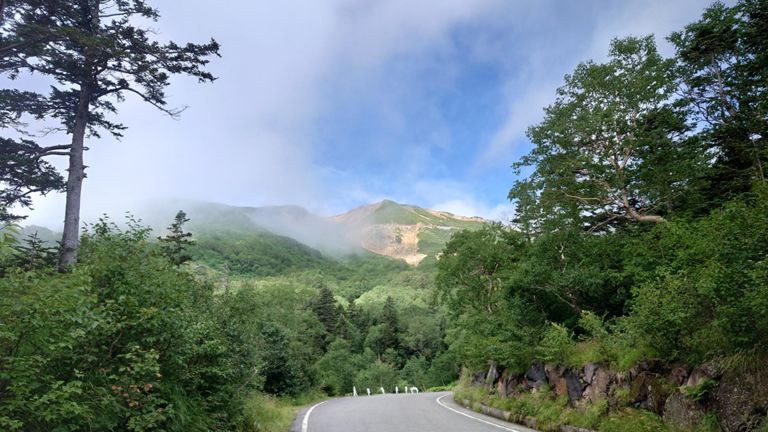 チラッと顔を見せてくれた😆