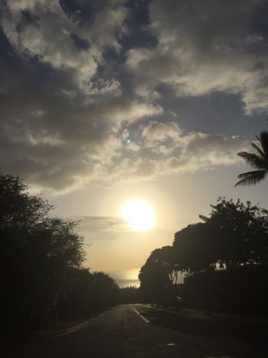 Now accepting donations for 303s :)