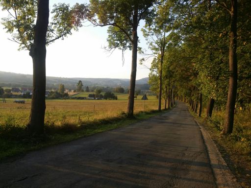 Droga Duszniki Zdrój - Karłów