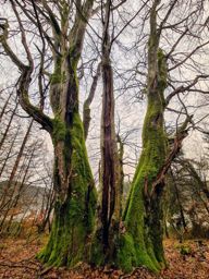 Rando Pierre Percée