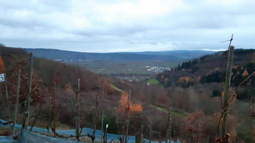 Das Moseltal, ab da würde es sehr schlammig