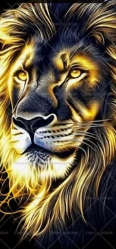 O melhor clube do mundo ganhou ao campeão da Europa..💚🦁💚Sporting aquela paixão sem limites..💚💚💚🍀💫💫☝️😉