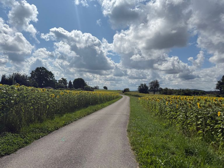 route-highlight