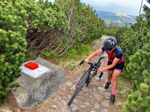 - Nacisnę ten czerwony guzik i wysadzę wszystko w cholerę!!! 🤬