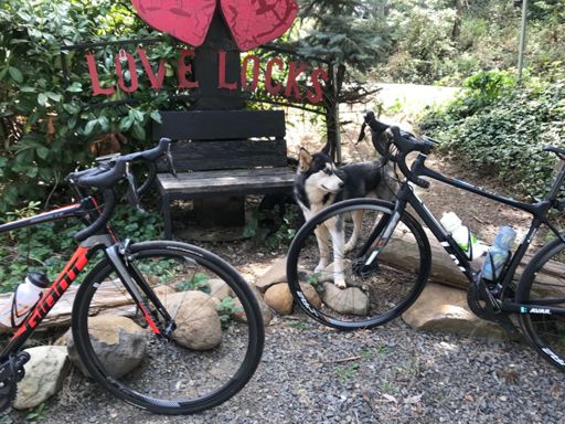 Thanks for the ride and the motivation 🥰