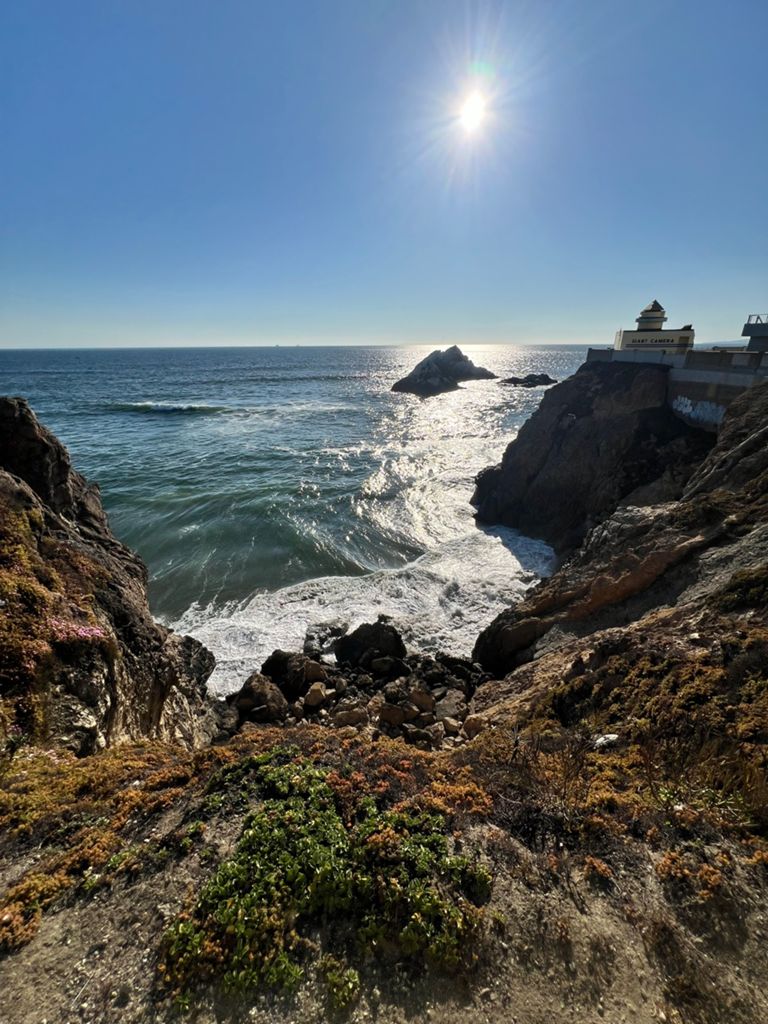 Butterlap (Presidio & Golden Gate Park)的照片 50