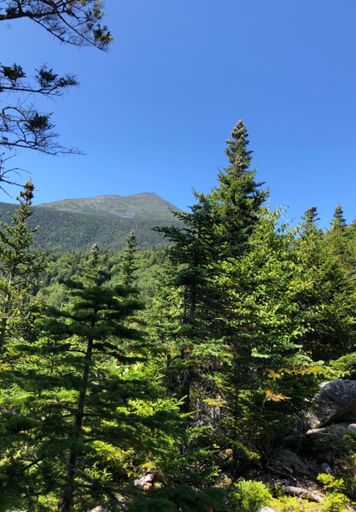 Adams as seen from the Bluff