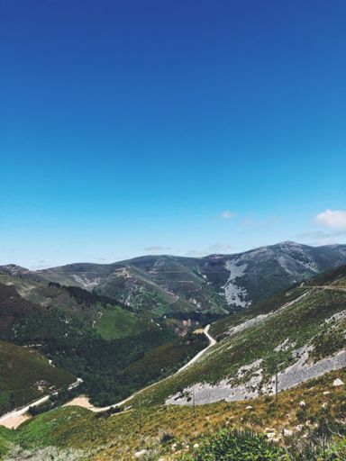 ↪️⤵️↩️⤴️