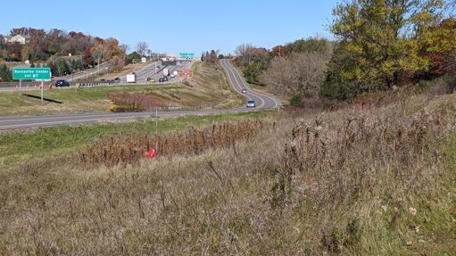 35W near Buck Hill. Out walking.